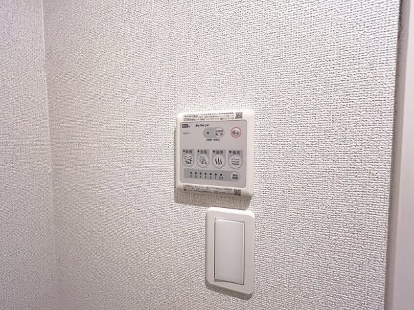  ルディアあざみ