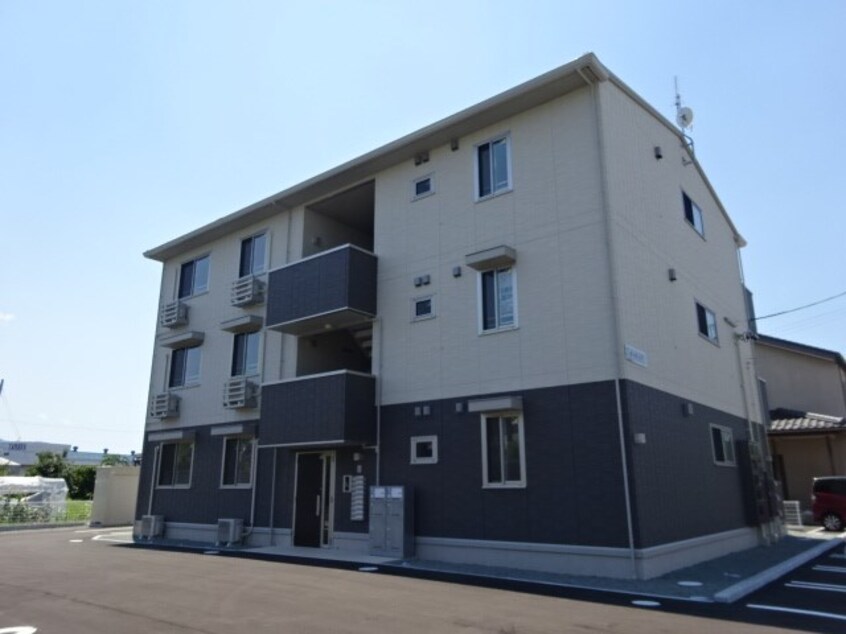  オーキッド
