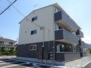  オーキッド