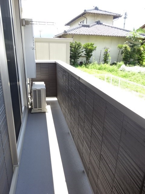  オーキッド