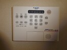  オーキッド