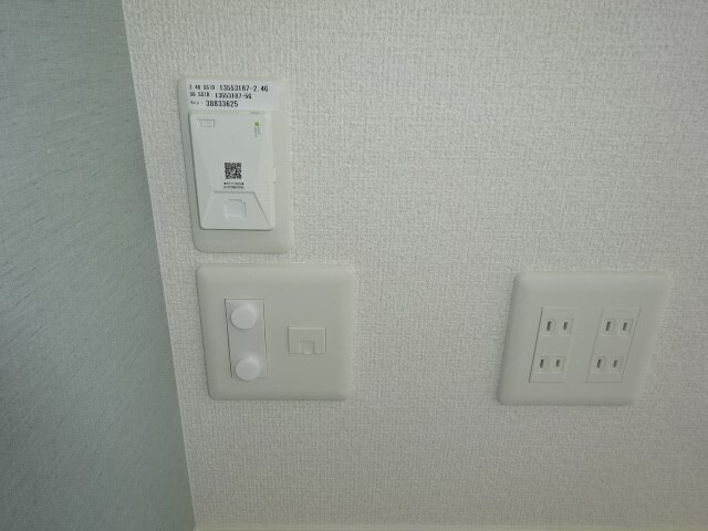  オーキッド