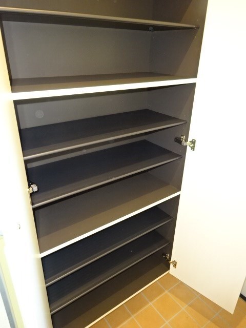  ダイヤモンド　MOONIII