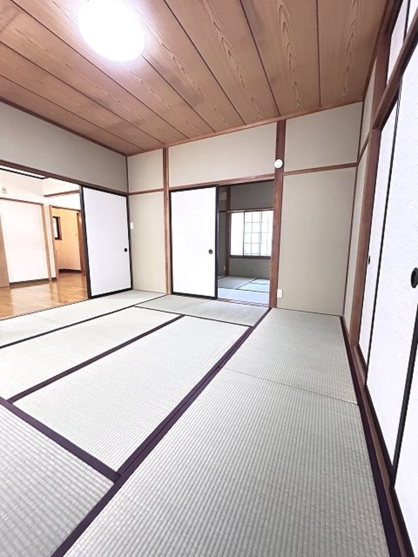  グリーンフラッツ5号