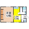 新井貸家　C 1LDKの間取り