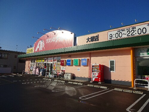 ｸｽﾘのｱｵｷ 大塚店(ドラッグストア)まで735m 小林貸住宅（青木島）1