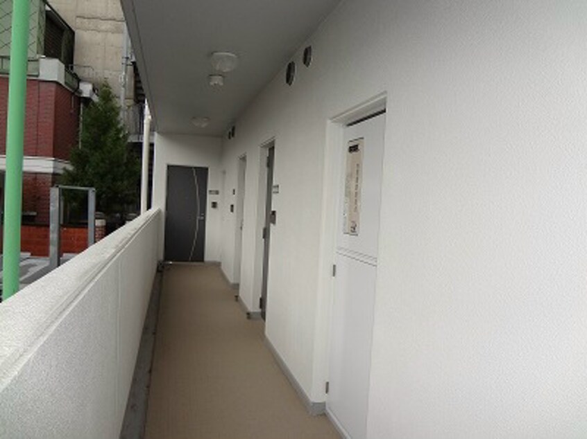  ビューソフィア