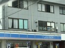 ﾛｰｿﾝ 松本新村店(コンビニ)まで710m アルピコ交通上高地線/新村駅 徒歩9分 2階 築22年