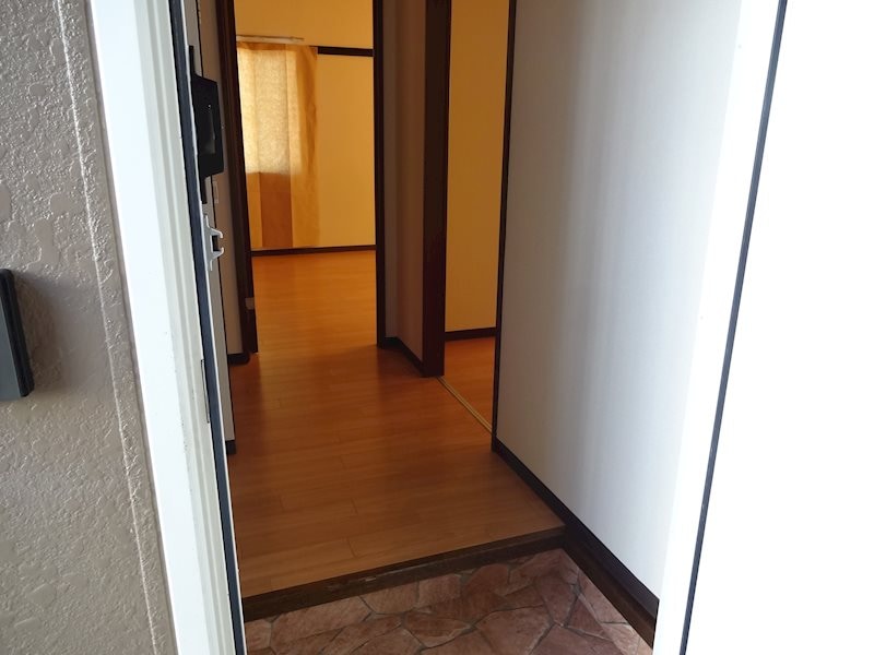  フレグランスグレープＢ