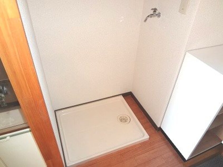  Surplus Oneアカハネ