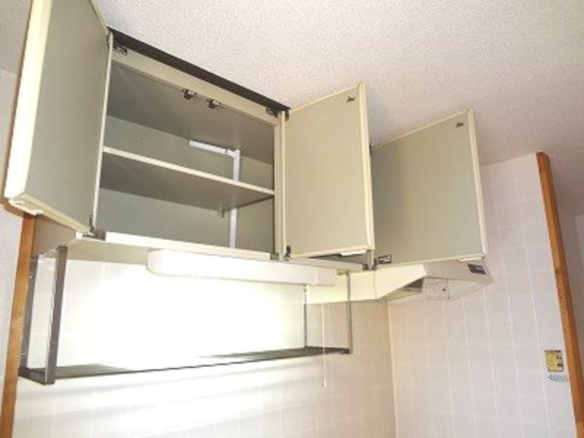  Surplus Oneアカハネ