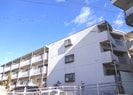 篠ノ井線/松本駅 徒歩15分 1階 築33年の外観