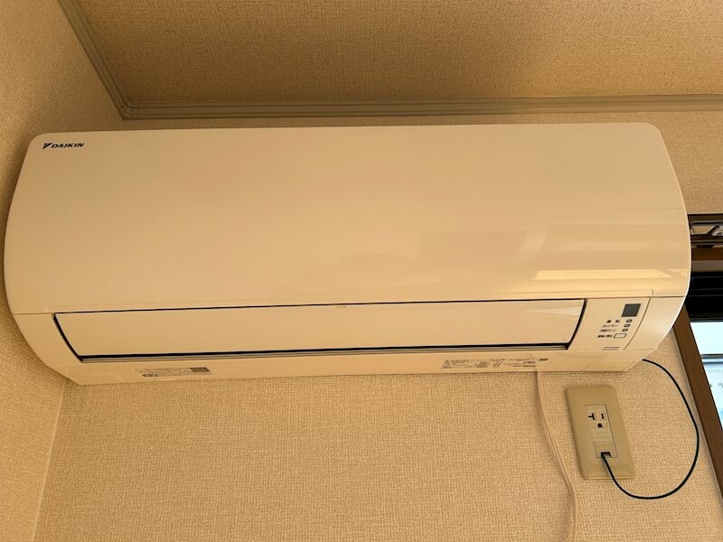  アベニューミスズ