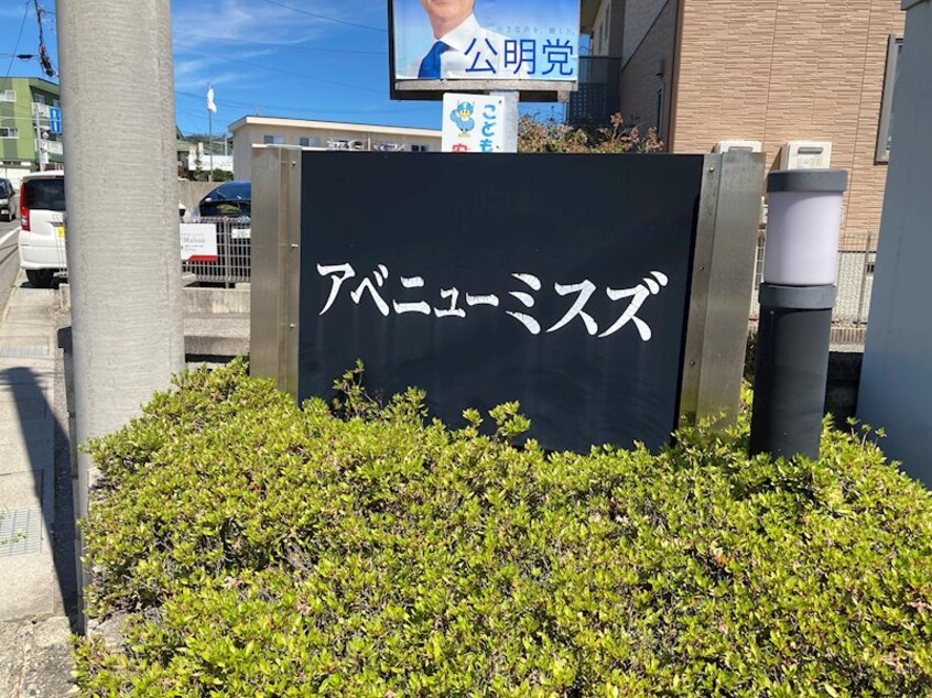  アベニューミスズ