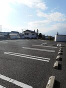  パラーシオ　エム・スター