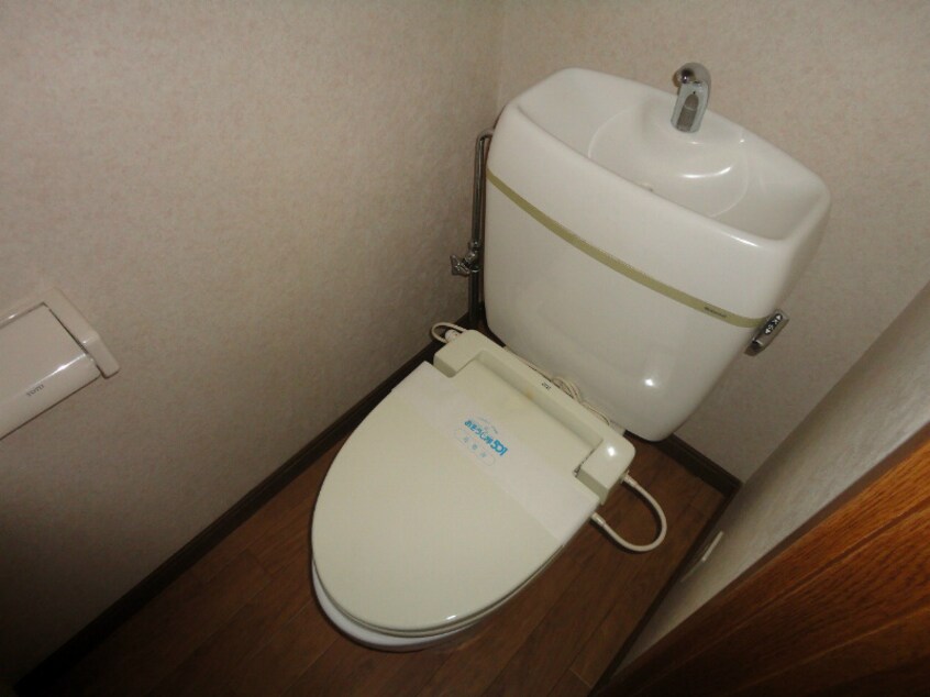  ホワイト・ぴじょん