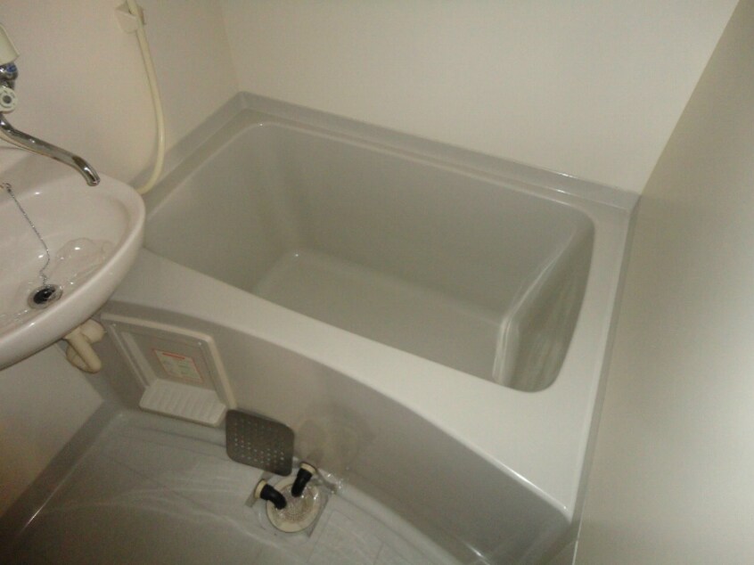  ホワイト・ぴじょん