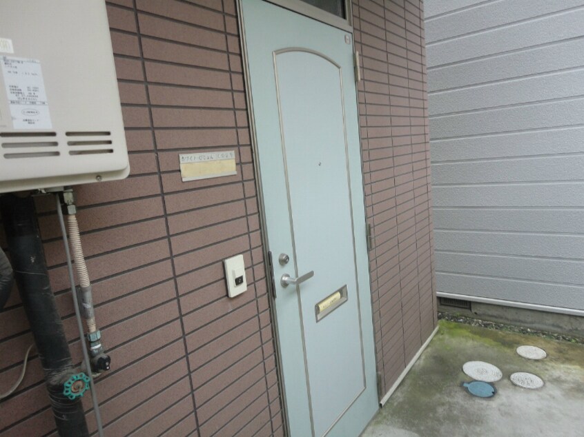  ホワイト・ぴじょん