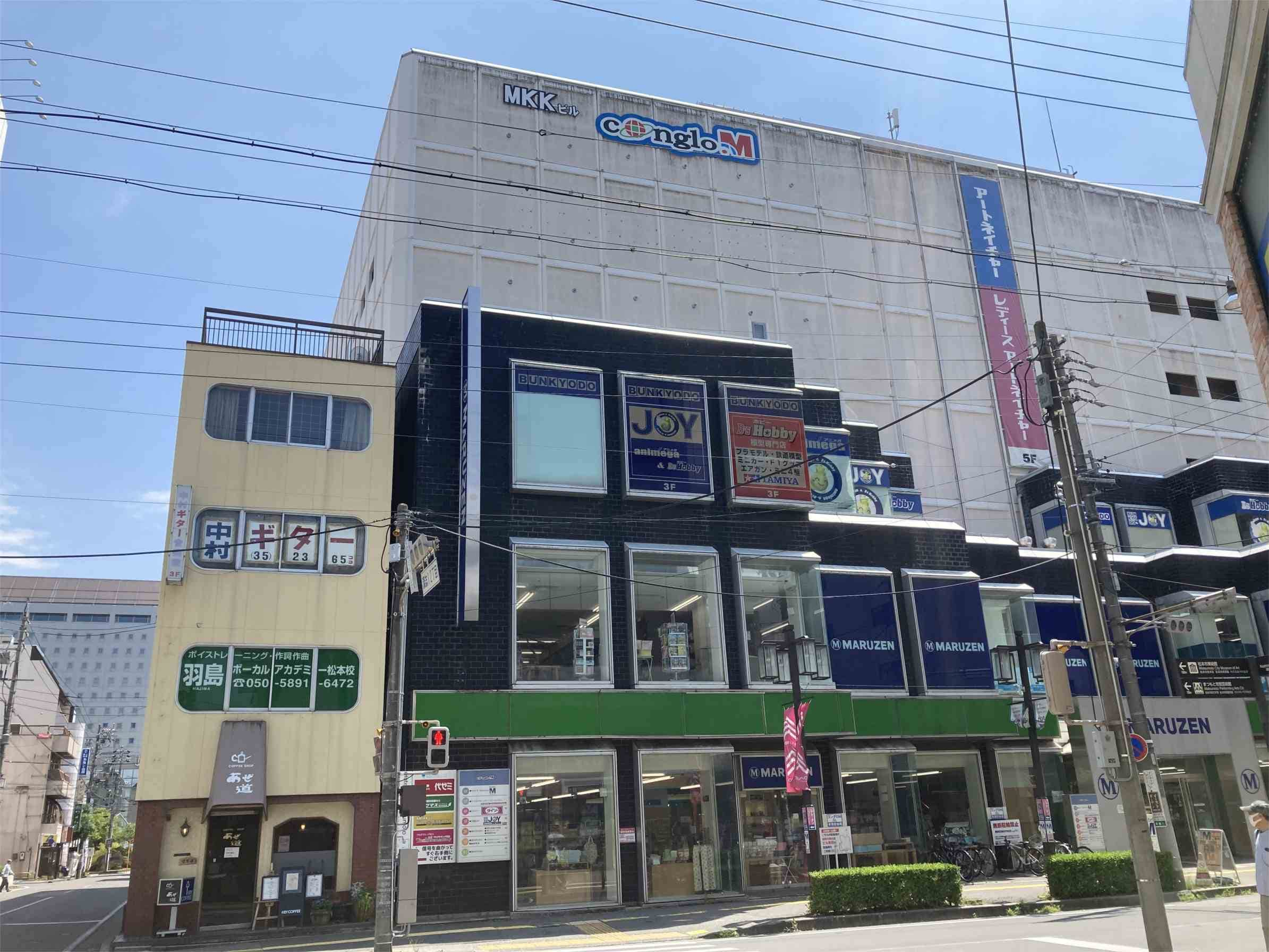 ｻﾞ･ﾀﾞｲｿｰ 松本駅前店(スーパー)まで776m 篠ノ井線/松本駅 徒歩12分 1階 築28年