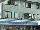 ﾛｰｿﾝ 松本新村店(コンビニ)まで710m アルピコ交通上高地線/下新駅 徒歩5分 2階 築22年