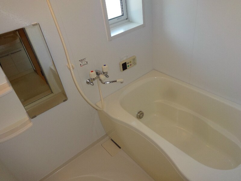  ビューラーはるかB