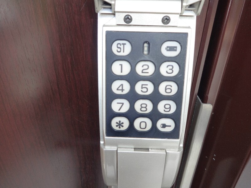  ビューラーはるかB