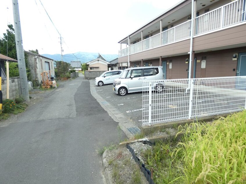  サープラス太尾