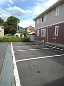  マンサーナ・ノルテ