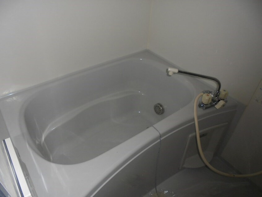  ドルトワール・イチカワ