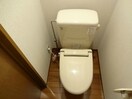  エクセリーナあづみ