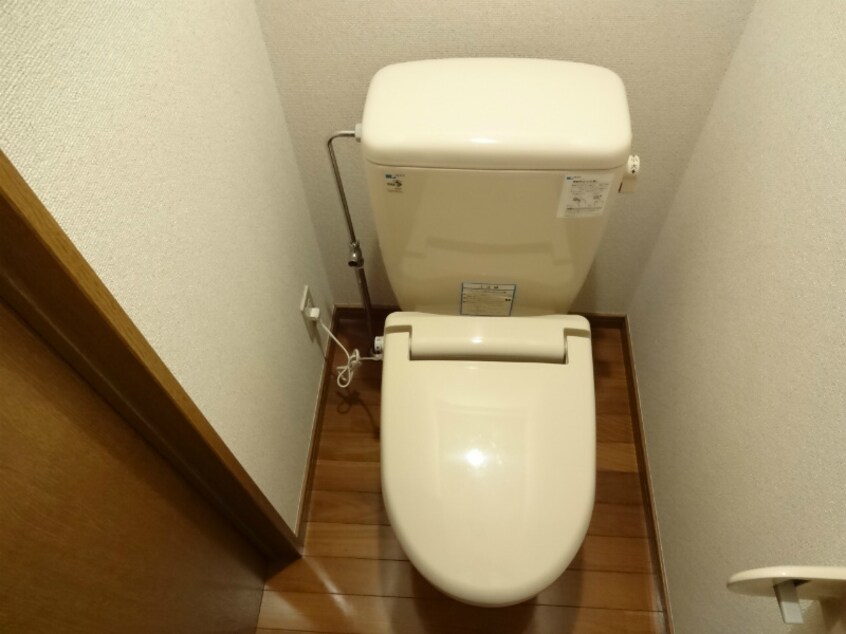  エクセリーナあづみ