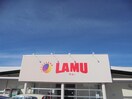 LAMU（ﾗ･ﾑｰ） 並柳店(スーパー)まで1022m 篠ノ井線/南松本駅 徒歩13分 2階 築32年