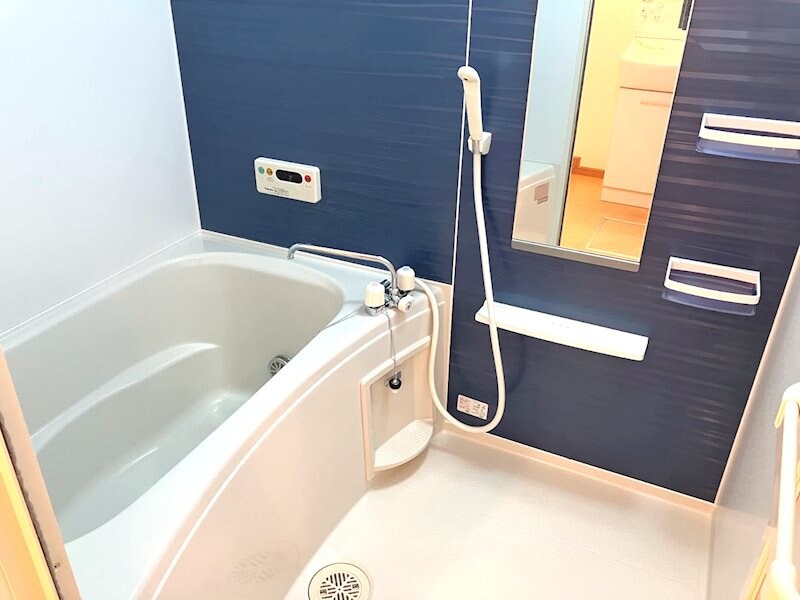  モルティ・カミジマD