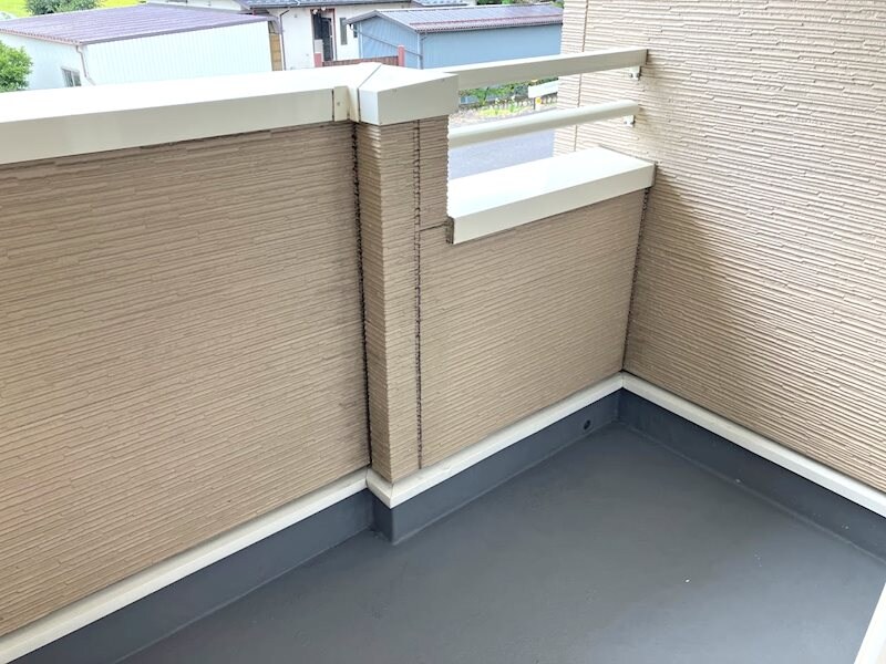  モルティ・カミジマD