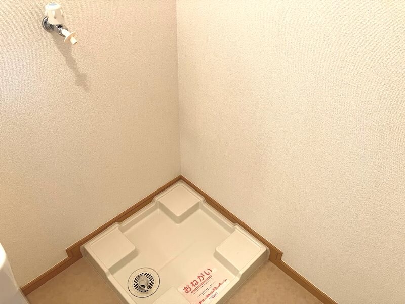  モルティ・カミジマD