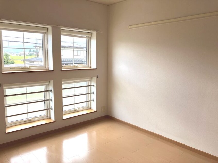  モルティ・カミジマD