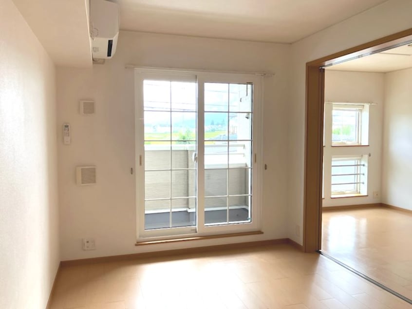  モルティ・カミジマD