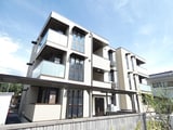 ステラ白板