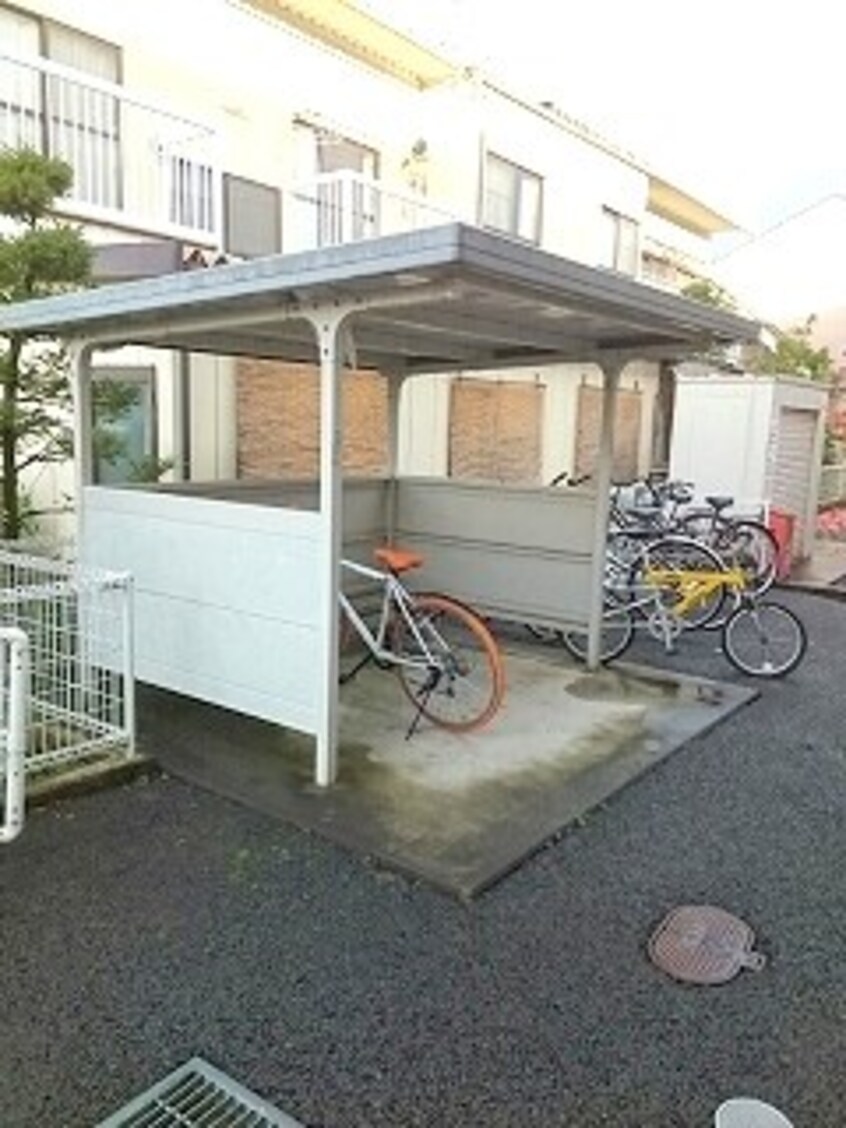  セトルＤ