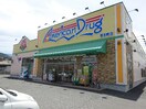 ｱﾒﾘｶﾝﾄﾞﾗｯｸﾞ 春木町店(ドラッグストア)まで1643m パルオオモリA棟