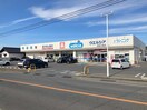 ｳｴﾙｼｱ須坂日滝店(ドラッグストア)まで370m グリンビュー日滝Ｄ棟