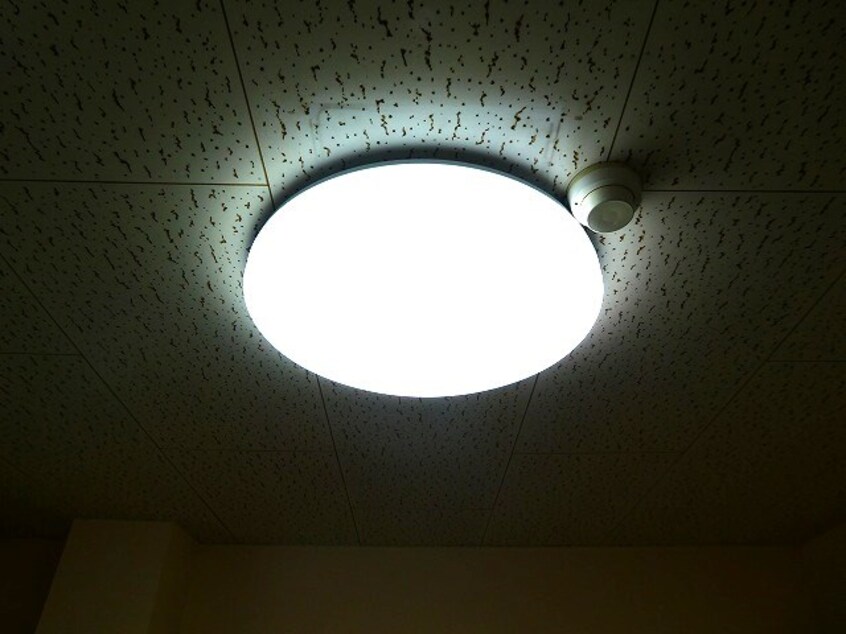  ハイツエクセルA棟