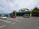 ｱｯﾌﾟﾙﾗﾝﾄﾞﾃﾞﾘｼｱ須坂井上店(スーパー)まで1067m ジョイスクエア市川Ｄ棟