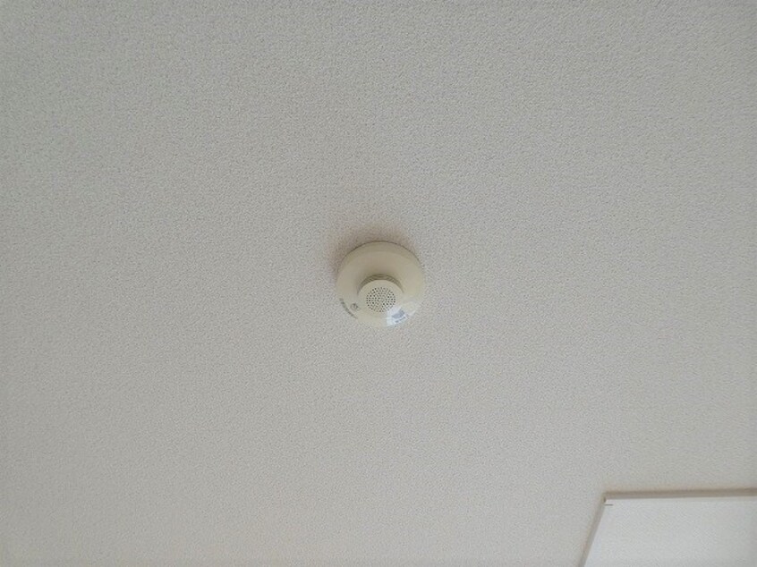  ミ・カサ・こまくさ