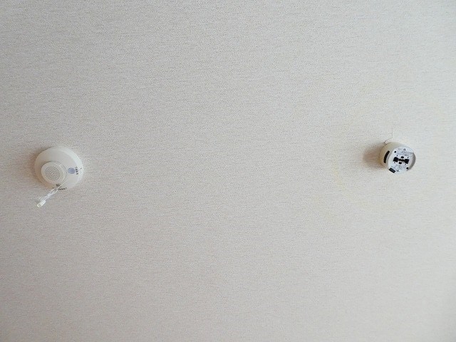 写真は203号室（参考） セレッソ吉乃