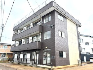 エクセレンスZ1
