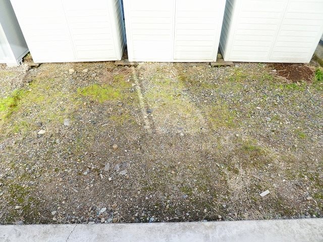  セジュール長者