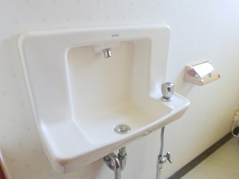  ハイツセイシェル