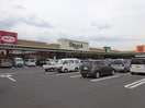 ｱﾒﾘｶﾝﾄﾞﾗｯｸﾞ 長野豊野店(ドラッグストア)まで773m グランモアかじろＣ