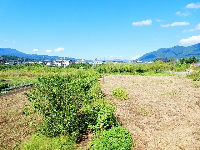 写真は11号室（参考） 三楽荘